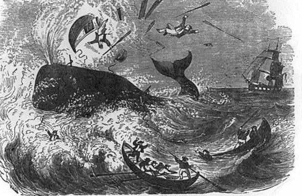 The whale's not much for dialogue. He just takes care of business and goes home.